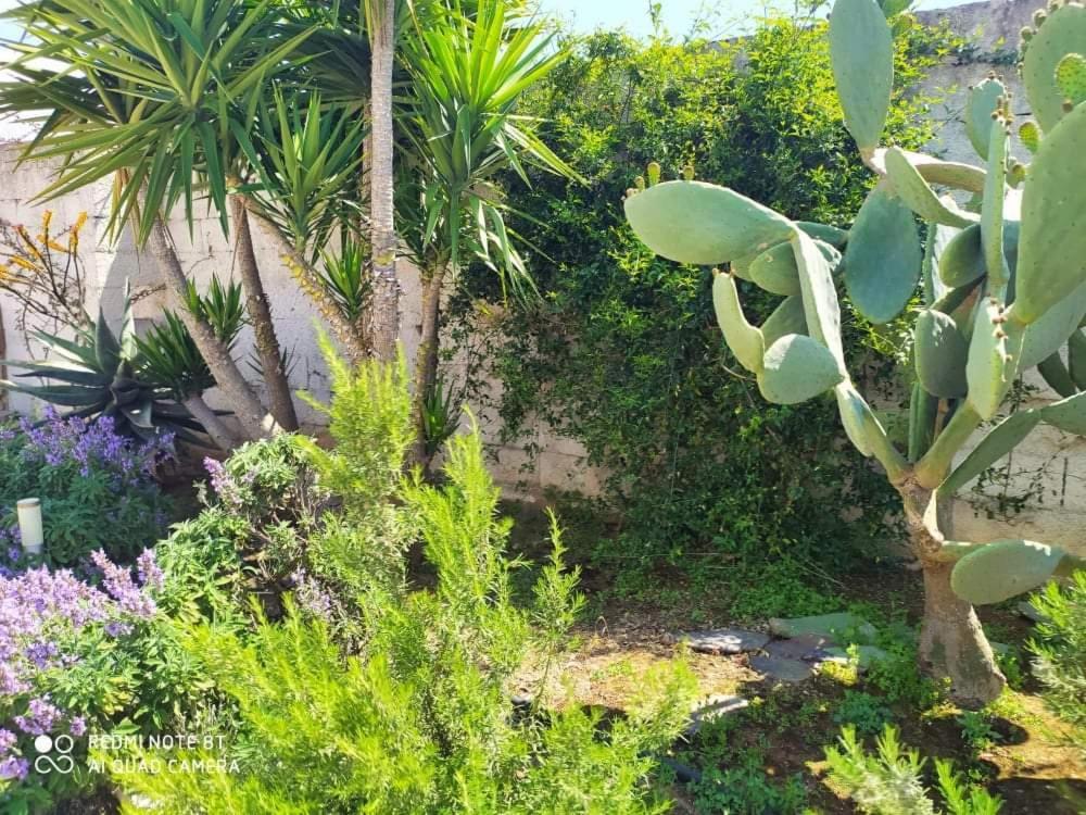 Li Curti B&B Melissano Eksteriør billede