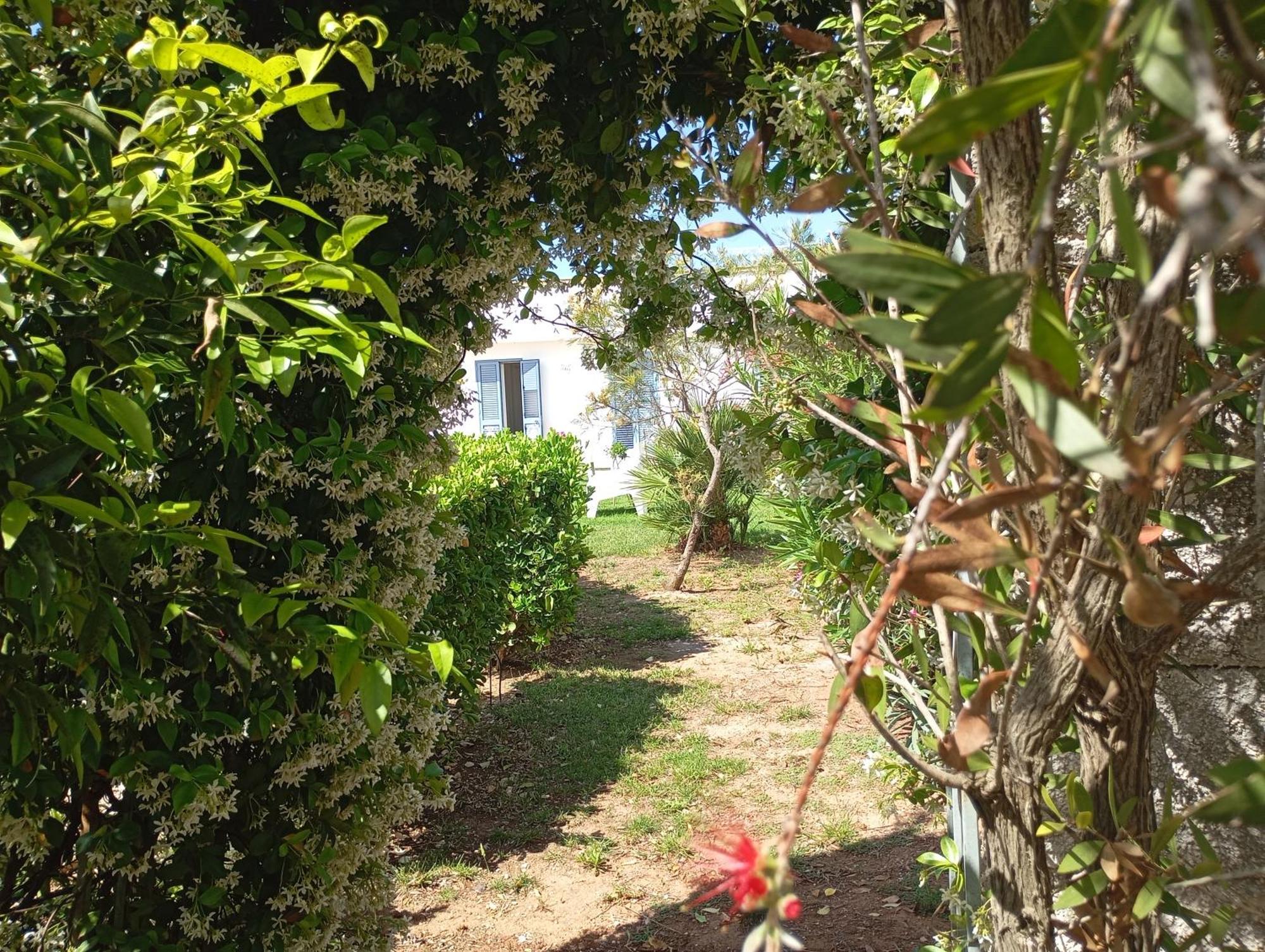 Li Curti B&B Melissano Eksteriør billede