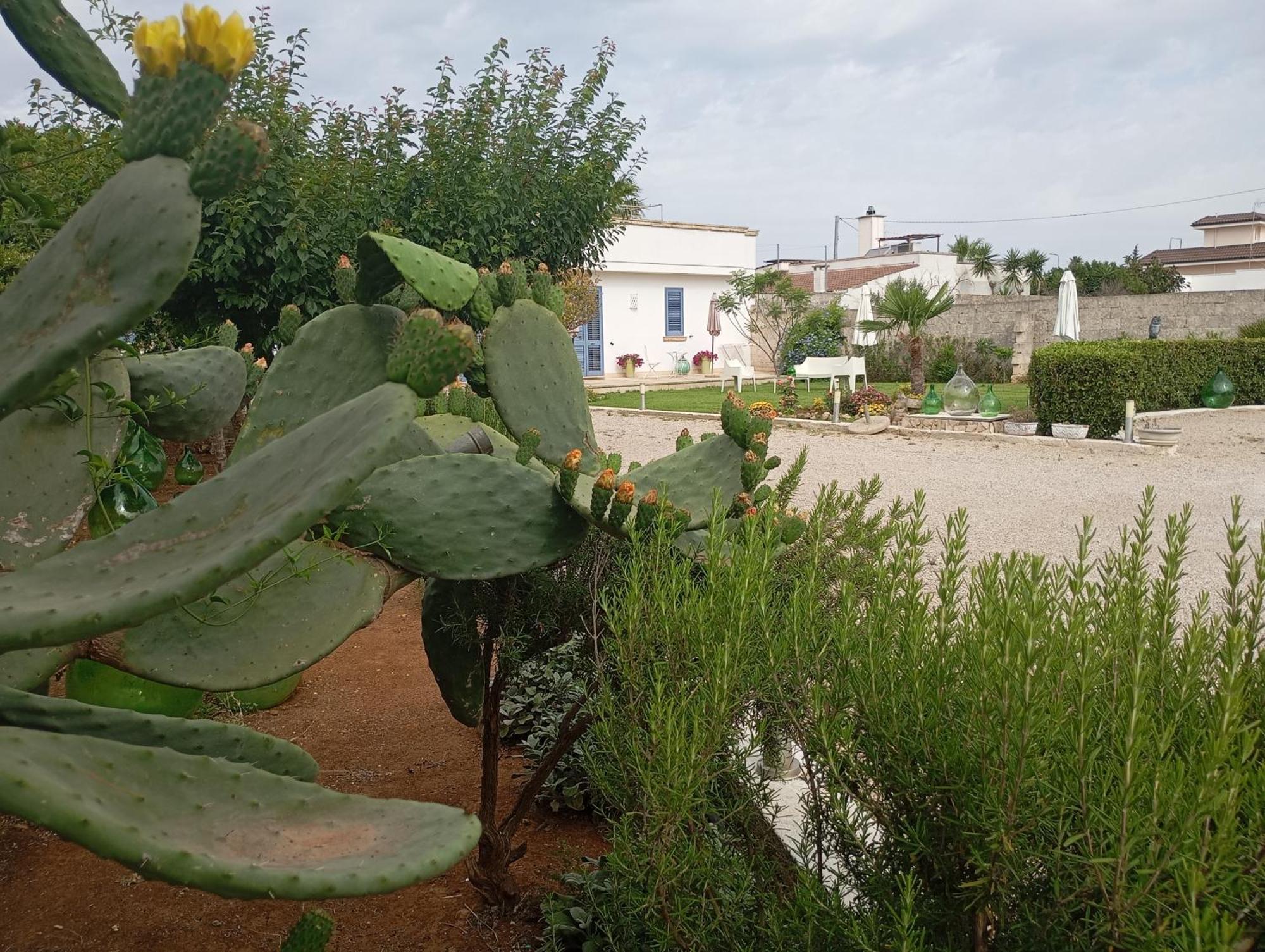Li Curti B&B Melissano Eksteriør billede