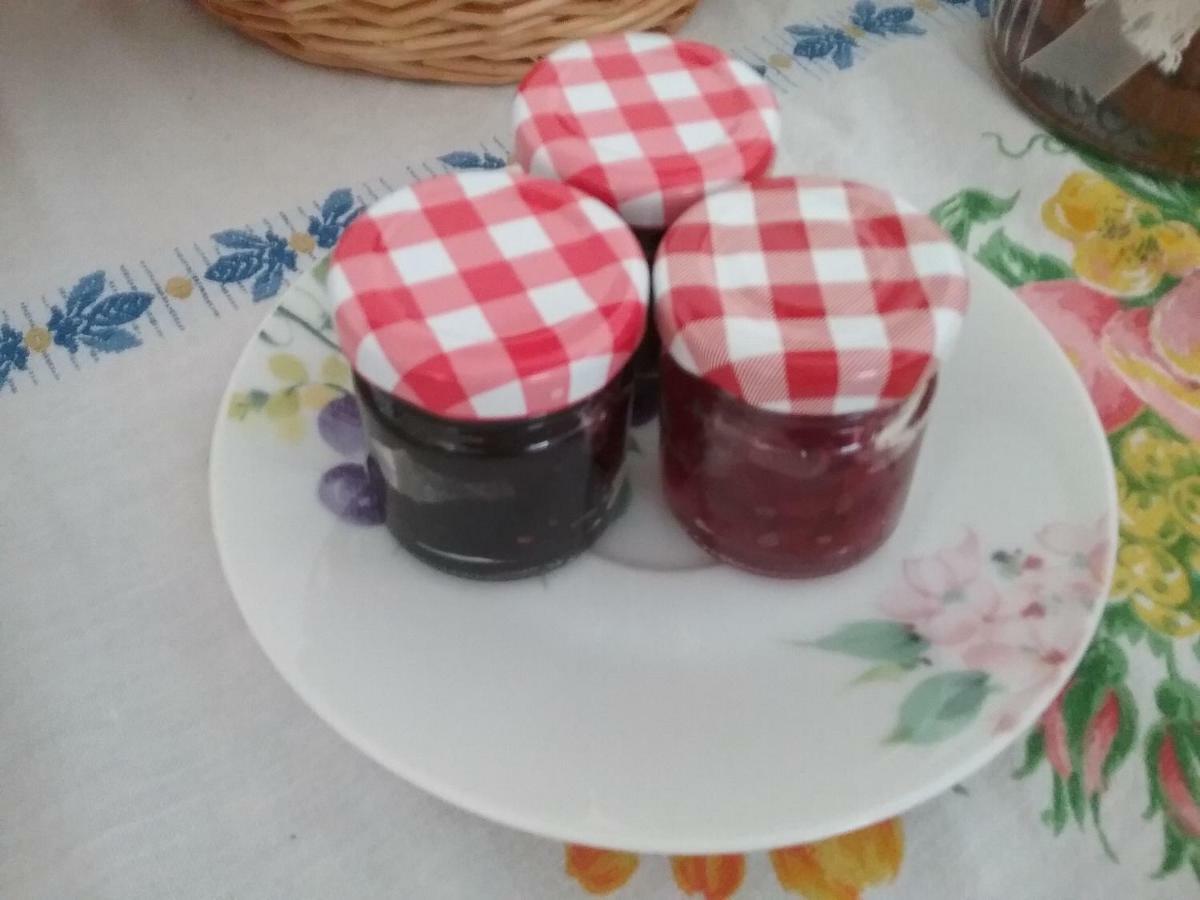 Li Curti B&B Melissano Eksteriør billede