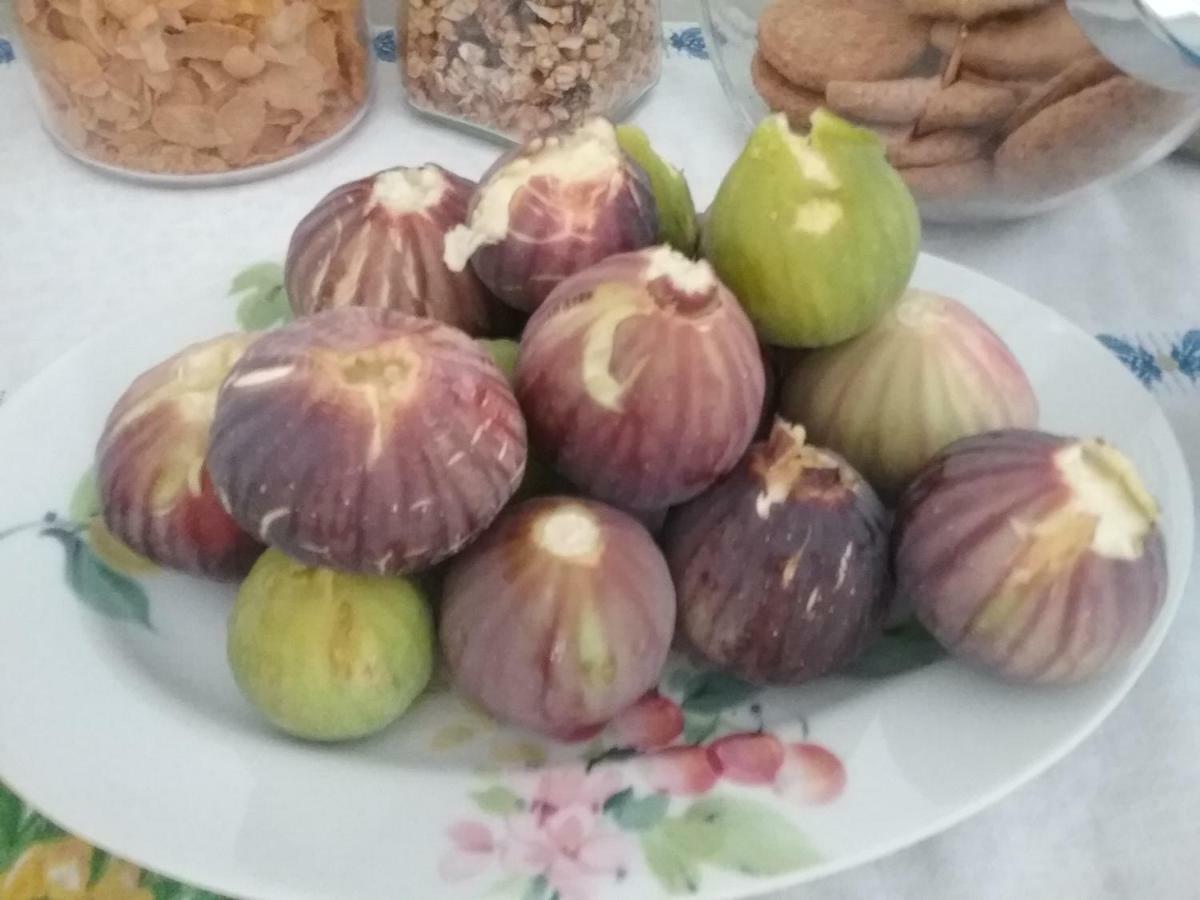 Li Curti B&B Melissano Eksteriør billede