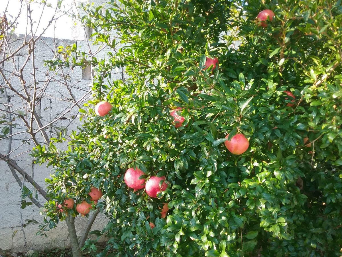 Li Curti B&B Melissano Eksteriør billede