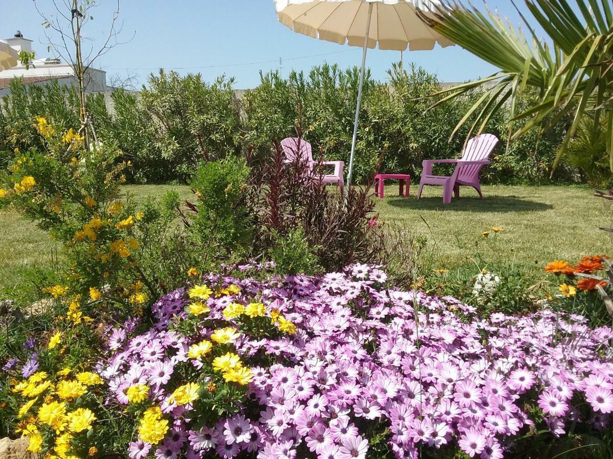Li Curti B&B Melissano Eksteriør billede