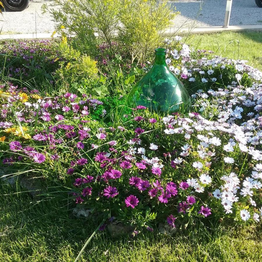 Li Curti B&B Melissano Eksteriør billede